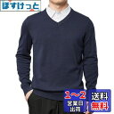 Bvaeocl セーター メンズ Vネック ビジネス カジュアル 秋服 綿 柔らかい ニットセーター おしゃれ 大きいサイズ BV84 色:ネイビー、サイズ:2XL