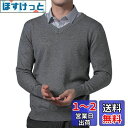 Bvaeocl セーター メンズ Vネック ビジネス カジュアル 秋服 綿 柔らかい ニットセーター おしゃれ 大きいサイズ BV84 色:ダークグレー、サイズ...