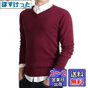 Bvaeocl セーター メンズ Vネック ビジネス カジュアル 秋服 綿 柔らかい ニットセーター おしゃれ 大きいサイズ BV84 色:レッド、サイズ:M
