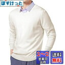 Moilyuko セーター メンズ Vネック ビジネス カジュアル 秋服 おしゃれ 無地 ニットセーター 大きいサイズ 春秋冬 Mo49 色:ホワイト、サイズ:XL