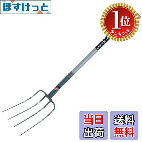 ڳŷ󥭥1̵̳ۡ۶Ϳ(KONYO) Family Tree ̥ѥե4 ϥ֥å (ߥѥ+ŴƬ) 20%...