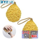 EsiFare 体洗うスポンジ 高泡立ち ボディスポンジ 2個セット メンズ レディス お風呂ポンジ 海綿スポンジ 泡立て ボディ用 風呂 スポンジ バス用品 ...