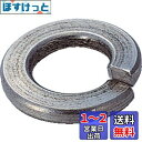TRUSCO(トラスコ) スプリングワッシャー ステンレス サイズM12 40個入 B29-0012