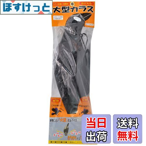 【送料無料】コンパル 大型カラス