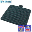 キャプテンスタッグ アクリル起毛 レジャーマット 170×170cm GR UB-3003