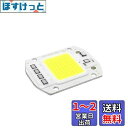 LEDGLE 50W LEDチップ バルブライトランプDIY スポットライト ハイパワー AC 110V 6500K 90LM/W 昼白色 1個セット