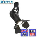 Dotoy ダクトレール用 スポットライト E11 LED電球付き LED電球 E11 60W形相当 6W 600lm ライティングバー用照明器具 LED電球+器具セット インテリア レールライト 廊下 寝室 食卓用 天井照明 人気 (黒 + 電球色)