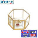 Feyarl ジュエリーボックス ジュエリー入れ リングピロー ジュエリー収納 ガラスボックス 六角形 ゴールド 7.5cm