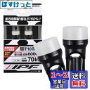 IPF ポジションランプ LED 車用 T10 70lm 6000K ホワイト 12V用 2本入 車検対応 拡散材配合レンズ採用 日本製 104W