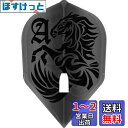 エルスタイル エルフライト PRO 大和久 明彦 ver.1 フライト シェイプ クリアブラック シャンパンリング対応
