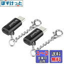 【2点セット】Whatif LightningからUSB-C 変換アダプタ 充電と高速データ転送 アルミニウム合金製 チェーン付き