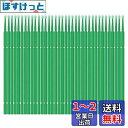 Vitzee 100本 車 塗装 タッチアップ 筆セット ペイントブラシ 使い捨て キトサン繊維 ペイントチップ プラスチックスティック カータッチアップ筆ブラシ カラータッチ キズリペア 剥がれ ぼかし プラッチック補修ぼかしに適用タッチアップ棒 細かい掃除