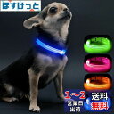 【送料無料】Visinite LED光る首輪, 小型犬 散歩 ライトUSB充電式, 子犬や猫に適した調節可能な長さ, 軽量, 暗い犬 首輪 光る300m先から目視可能, 犬 ライトるあなたに小さな犬や猫を目に見えて安全に保つ, ブルー