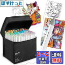 Ohuhu イラストマーカー 筆タイプ 80色81本 プロ愛用 薄色 筆・細字 パステル マーカーペン アルコール系 ブレンダーペン付き Honolulu Bシ...