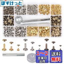 カシメセット (90Pcs/3サイズ/3色) ハトメ キット 両面ハトメキット バネ ホック工具 リベットパーツ スナップボタン カシメ打ち具セット レザークラ...
