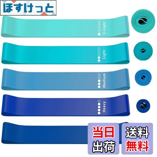 【送料無料】roseddy トレーニングチューブ ゴムバンド 筋トレ ゴムチューブ 天然ラテックス ゴムバンド チューブ トレーニング 5本セット 自宅 筋トレ ゴム バンド 美尻 トレーニングバンド リハビリ ゴムバンド ストレッチバンド（青）