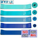 【送料無料】roseddy トレーニングチューブ ゴムバンド 筋トレ ゴムチューブ 天然ラテックス ゴムバンド チューブ トレーニング 5本セット 自宅 筋トレ ゴム バンド 美尻 トレーニングバンド リハビリ ゴムバンド ストレッチバンド(青) 【送料無料】roseddy トレーニングチューブ ゴムバンド 筋トレ ゴムチューブ 天然ラテックス ゴムバンド チューブ トレーニング 5本セット 自宅 筋トレ ゴム バンド 美尻 トレーニングバンド リハビリ ゴムバンド ストレッチバンド(青)