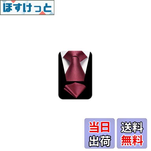 [HISDERN] ワインレッド ネクタイ 結婚式 メンズ 赤 ネクタイ チーフ セット フォーマル ビジネス ブランド 男士 紳士 礼服用 洗える