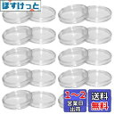LOYELEY コイン ケース カプセル コインホルダー 内径30mm 20個セット 保護 透明 プラスチック コインケース クリアケース コレクション 記念 ...