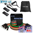 TheFitLife トレーニングチューブ チューブ トレーニング 筋トレチューブ (緑/黒/橙/灰/茶)