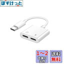 RuiMi Type-c アダプタヘッドフォンア充電同時 通話可能(Type-C端子)急速充電/通話/音楽/リモコン Type-C 変換 2in1イヤホン 充電アダプター両用(2)
