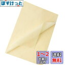 Moigeku 薄葉紙 ラッピングペーパー クリームイエロー 35x50cm お花紙 おはながみ 包装紙 100枚入 手芸用紙 折紙 幼稚園 保育園