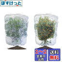 LIANHATA 防虫ネット 2個セット 植物保護カバー メッシュ巾着式 防鳥ネット 虫よけカバー 野菜網 鳥対策 通気性 虫鳥除け網 鉢植え用 野菜栽培 菜園プランター用 (80*100cm)