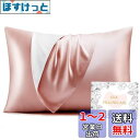 HOdo Home シルク枕カバー 22匁 まくらかばー 片面シルク枕カバー 50×70cm 封筒式枕カバー シルクピローケース 洗える寝癖軽減 抗菌防臭 美髪...