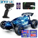 Tecnock ラジコンカー 子供向け USB-C直接充電式 ラジコン おもちゃ 車 オフロード 2.4Ghz RCカー 誕生日 プレゼント (ブルー)