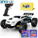 Tecnock ラジコンカー 子供向け ラジコン Type-C USB充電 おもちゃ 車 オフロード 2.4Ghz RCカー 誕生日 プレゼント (ホワイト(ライトなし))