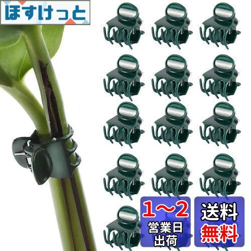 PAVIKE 洋蘭 植物用クリップ 50個入り 植物支柱クリップ 園芸クリップ 接ぎ木クリップ 支柱誘引クリップ 耐久性 栽培 再利用可能 ガーデンガーデンツール 園芸便利クリップ 園芸用品 固定用具 果菜栽培 つる 花 （グリーン）