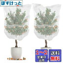 SensaBliss 防虫ネット 植物保護カバー 防鳥ネット 2枚入り メッシュ巾着式 通気性 虫鳥除け網 虫除け ネット 透明 虫よけカバー 家庭菜園 野菜栽培 花壇 果樹 プランター 鉢植え用 園芸ネット すっぽり カバー キット ベランダ 庭 畑 玄関 防風 防虫 鳥対策(100×80cm