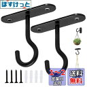 5WYOUKE 天井 フック 吊り下げ金具 J字 吊りフック 耐荷重約15kg 長さ6.4cm 石膏ボード 壁掛け ピンフック 穴が目立たない 照明器具配線 画鋲 賃貸 2個セット ネジ/プラスチック拡張チューブ付き(4)
