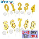 KALOLINNA バースデーナンバーキャンドル 0〜9 10点セット ロウソク 数字 誕生日を祝う 高級 ろうそく おしゃれ スタイリッシ 記念日キャンドルウ...