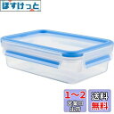 ティファール 保存容器 長方形 800ml 密閉 パッキン一体構造 「マスターシール フレッシュ MW レクタングル」 3 N10143(3)