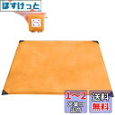 TRIWONDER レジャーシート コンパクト 軽量 グランドシート ピクニックシート キャンプ シート ビーチマット テント タープ 防水 ミニ アウトドア ...