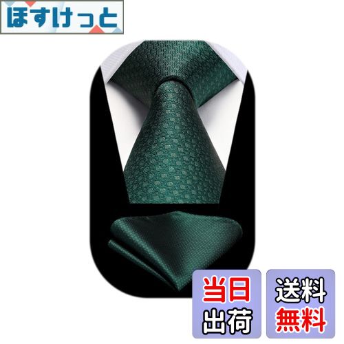 【送料無料】[HISDERN] ネクタイ メンズ 緑色 ネクタイメンズ チーフ セット グリーン フォーマル ビジネス用 ブランド 礼服用 慶事用 成人式 HC-04