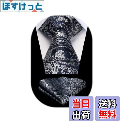 [HISDERN] メンズ ネクタイ ペイズリー ネクタイ 花柄 チーフ セット ビジネス シルク ブランド 結婚式 二次会 礼服用 HP-03