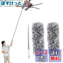 GreenGee ほこりとり ホコリ取り はたき 1セット(交換用ヘッド2個 ハンディモップ 280cmまで伸縮 大掃除 伸縮可能 高い所掃除 手洗い可能 曲が...