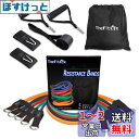 TheFitLife トレーニングチューブ チューブ トレーニング 筋トレチューブ (青/緑/赤/黒/橙)(4)