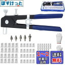 Breezliy 109個 リベット工具セット ハンドリベッター セット ネジ付き リベットナット リベット スパナナット栓 心軸5件 ネジインサート ツール M3/M4/M5/M6/M8