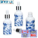 Frcolor スポイトボトル 遮光瓶 アロマオイルボトル 30ml ドロッパーボトル エッセンシャルオイルボトル アロマ 詰め替え 容器 青白磁 小分けボトル...