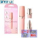 Schick(シック) ハイドロシルク Face & Beauty 女性用 フェイスシェーバー 顔 眉 スティックタイプ 1個 (x 1) シェーバー レディー...