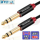 SHULIANCABLE 6.35mm ギター ケーブル, 標準プラグ オス-オス ミキサー ギター アンプ スピーカー等の接続用 (2M)