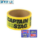 キャプテンスタッグ(CAPTAIN STAG) 養生テープ マスキングテープ CSデザインテープ 幅48mm×長さ10m イエロー UM-1553