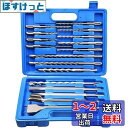 Nisorpa ドリルビットセット 17個SDS サイズドリルセット ハンマービット 振動ドリル コンクリートドリル 電動ハンマー用 チゼル プラス シャンクビット ブルーツールボックス付き(4)
