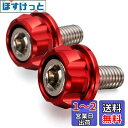 デイトナ(Daytona) PREMIUM ZONE(プレミアムゾーン) バイク用 ナンバープレート ボルト M6×15mm ホルダーセット 2個入り レッド 91945