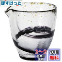 アデリア(ADERIA) 津軽びいどろ 片口 夜風 250ml 日本製 徳利 冷酒器 とっくり ガラス おちょこ 日本酒 グラス ちろり おしゃれ 冷やす 容器...