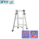 長谷川工業(Hasegawa) アルミ軽量はしご兼用脚立 天板トレー付 (81cm) RC2.0-09 (16320)