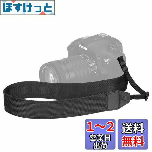 ϥ HAKUBA 饹ȥå եȥǥ åɥͥåȥå 38  KST-64S38 ȥå...
